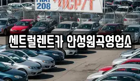 센트럴렌트카 안성원곡영업소