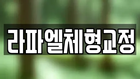 라파엘체형교정