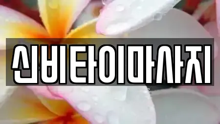 신비타이마사지