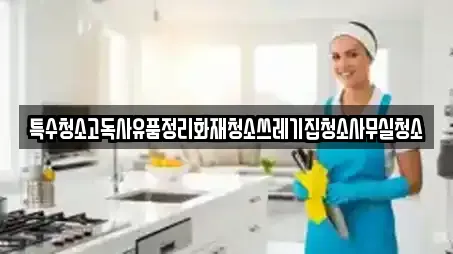 특수청소고독사유품정리화재청소쓰레기집청소사무실청소