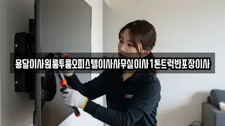 용달이사원룸투룸오피스텔이사사무실이사1톤트럭반포장이사