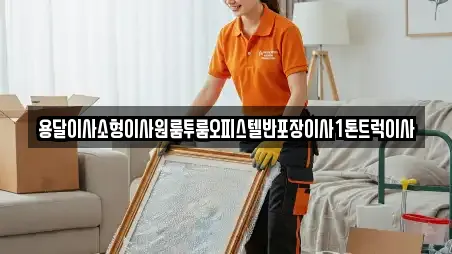 용달이사소형이사원룸투룸오피스텔반포장이사1톤트럭이사