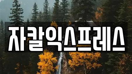 자칼익스프레스