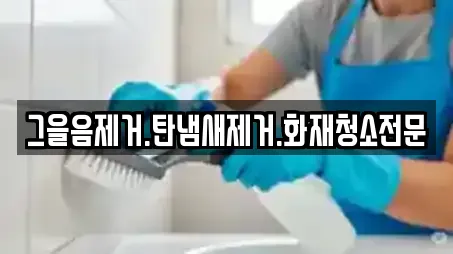 그을음제거.탄냄새제거.화재청소전문