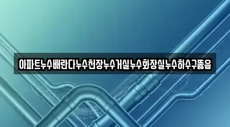 아파트누수배란다누수천장누수거실누수화장실누수하수구뚫음