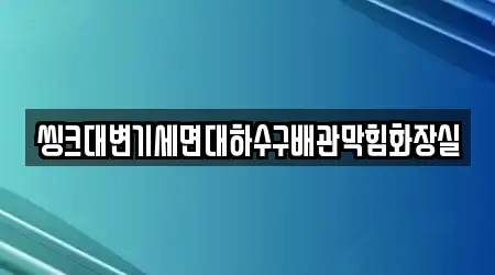 씽크대변기세면대하수구배관막힘화장실