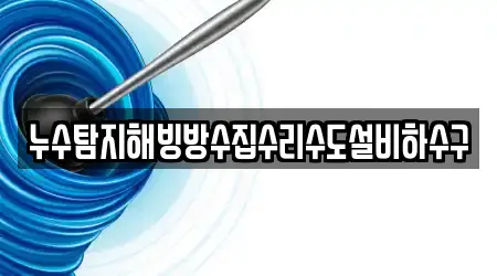 누수탐지해빙방수집수리수도설비하수구