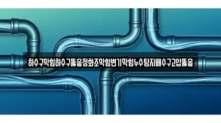 하수구막힘하수구뚫음정화조막힘변기막힘누수탐지배수구고압뚫음
