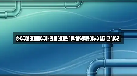 하수구싱크대배수구배관세면대변기막힘역류뚫어누수탐지공사수리