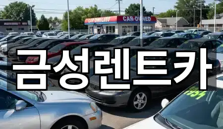 금성렌트카