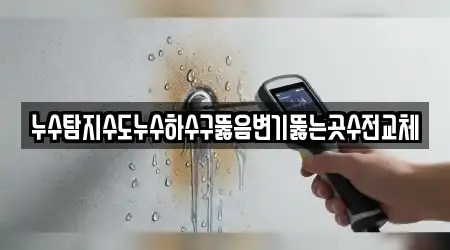누수탐지수도누수하수구뚫음변기뚫는곳수전교체