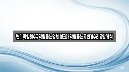 변기막힘하수구막힘뚫는업체싱크대막힘뚫는곳변기수리고압세척