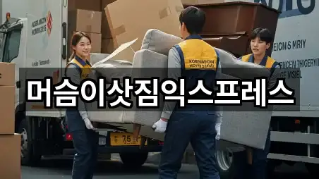 머슴이삿짐익스프레스