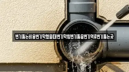 변기뚫는비용변기막혔을때변기막힘변기뚫음변기역류변기뚫는곳