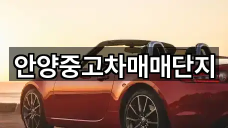 인기 안양 동안구 관양동 중고차 4곳 모아보기 인기 안양 동안구 관양동 중고차 4곳 모아보기