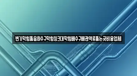 변기막힘뚫음하수구막힘싱크대막힘배수구배관역류뚫는곳비용업체