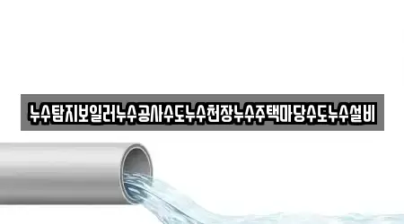 누수탐지보일러누수공사수도누수천장누수주택마당수도누수설비