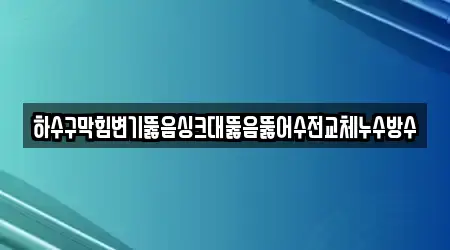 하수구막힘변기뚫음싱크대뚫음뚫어수전교체누수방수