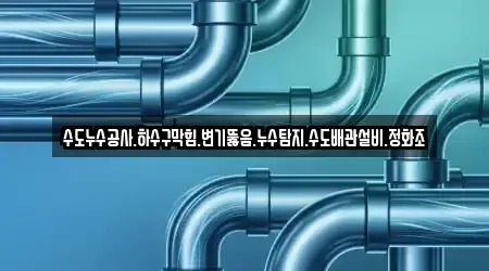 수도누수공사.하수구막힘.변기뚫음.누수탐지.수도배관설비.정화조