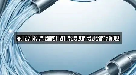 동네고수 하수구막힘세면대변기막힘싱크대막힘화장실역류뚫어요