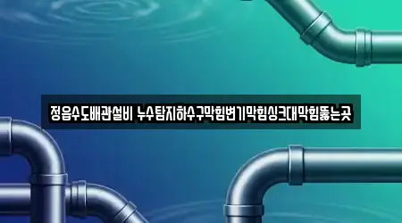 정읍수도배관설비 누수탐지하수구막힘변기막힘싱크대막힘뚫는곳