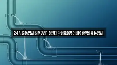 24시출동업체하수구변기싱크대막힘뚫음뚜러배수관역류뚫는업체