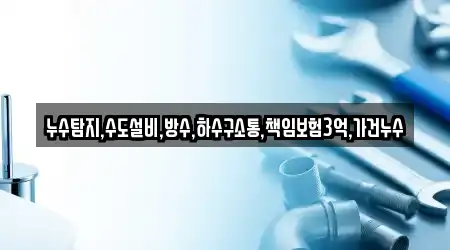 누수탐지,수도설비,방수,하수구소통,책임보험3억,가건누수