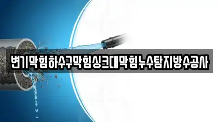 변기막힘하수구막힘싱크대막힘누수탐지방수공사