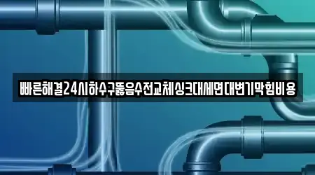 빠른해결24시하수구뚫음수전교체싱크대세면대변기막힘비용
