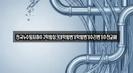 전국누수탐지하수구막힘싱크대막힘변기막힘변기수리변기수전교체