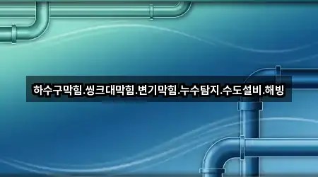 하수구막힘.씽크대막힘.변기막힘.누수탐지.수도설비.해빙