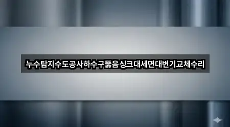누수탐지수도공사하수구뚫음싱크대세면대변기교체수리