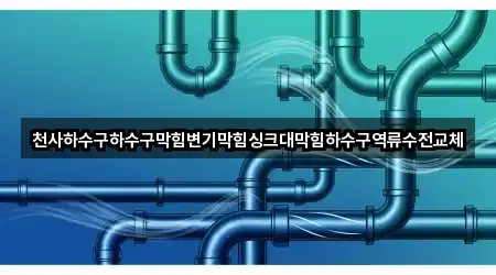 천사하수구하수구막힘변기막힘싱크대막힘하수구역류수전교체