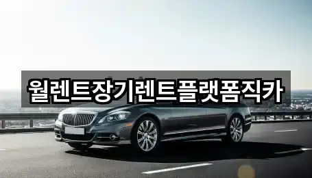 월렌트장기렌트플랫폼직카