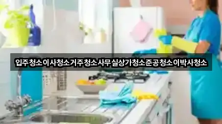 입주청소이사청소거주청소사무실상가청소준공청소이박사청소