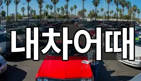 전북 익산시 중앙동2가 중고차 4곳 한눈에 보기 전북 익산시 중앙동2가 중고차 4곳 한눈에 보기