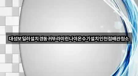 대성보일러설치경동귀뚜라미린나이온수기설치인천점배관청소