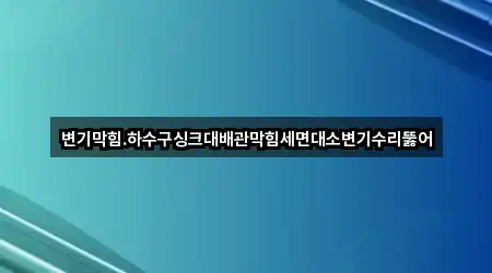 변기막힘.하수구싱크대배관막힘세면대소변기수리뚫어