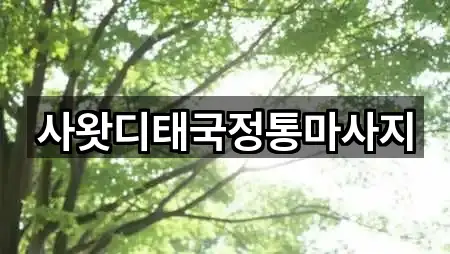 사왓디태국정통마사지