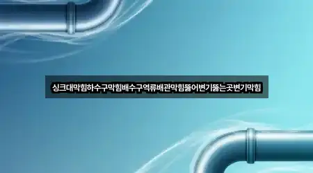 싱크대막힘하수구막힘배수구역류배관막힘뚫어변기뚫는곳변기막힘