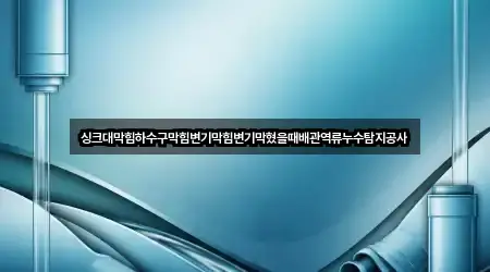 싱크대막힘하수구막힘변기막힘변기막혔을때배관역류누수탐지공사