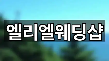 경기 부천시 원미구 심곡동 웨딩컨설팅 3곳 위치 총정리