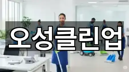 오성클린업