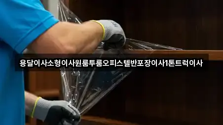 용달이사소형이사원룸투룸오피스텔반포장이사1톤트럭이사
