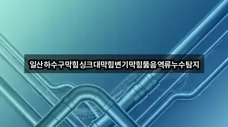 일산하수구막힘싱크대막힘변기막힘뚫음역류누수탐지