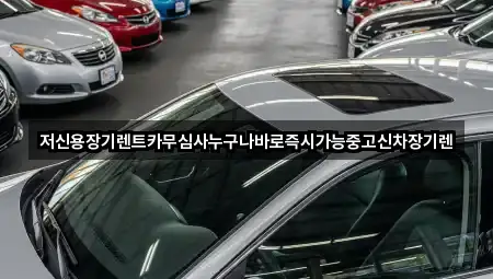 실시간 충남 옥룡동장기렌트카 1곳