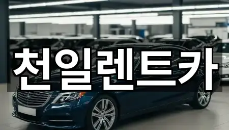 5곳 춘포면 렌트카 위치·연락처