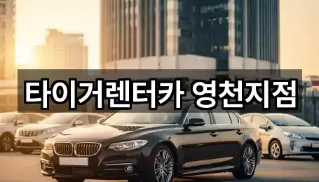 타이거렌터카 영천지점