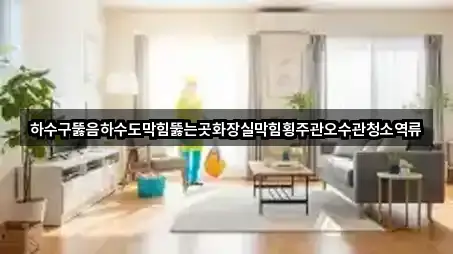 하수구뚫음하수도막힘뚫는곳화장실막힘횡주관오수관청소역류