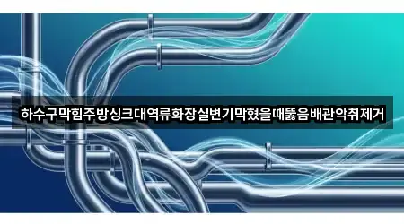 하수구막힘주방싱크대역류화장실변기막혔을때뚫음배관악취제거